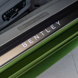 Bentley Continental Door Trim and Logo