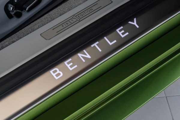 Bentley Continental Door Trim and Logo