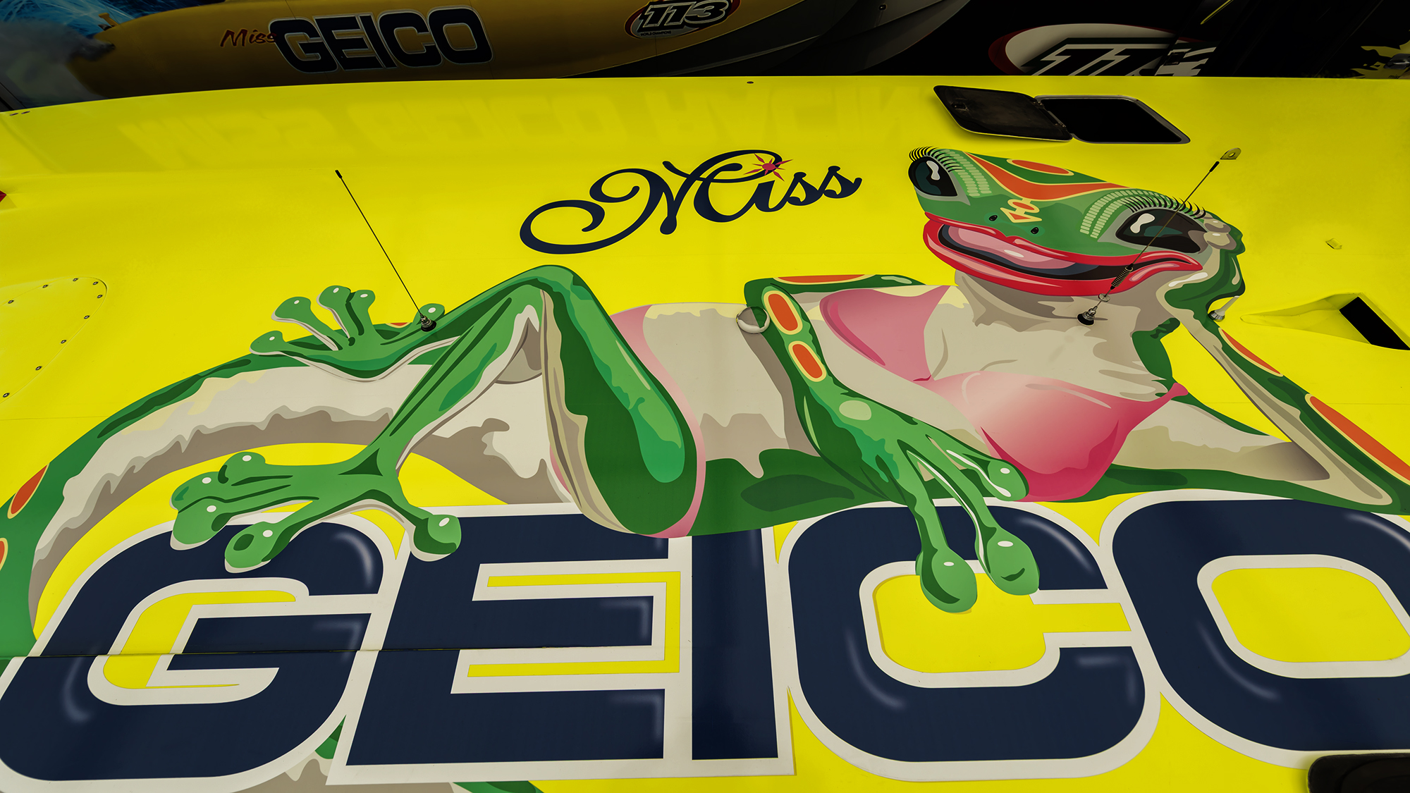 Miss Geico Deck Art Logo